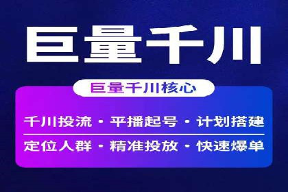 百度推广实战：成功案例解析